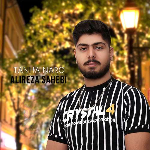 علیرضا صاحبی تنها نرو